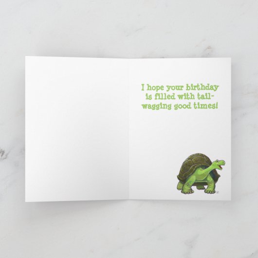 Tortoise Party Centre Kaart (Binnen)