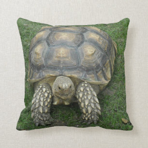 Tortoise Pillow Kussen