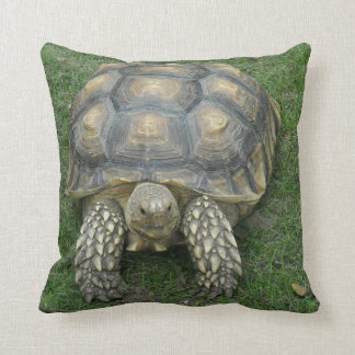 Tortoise Pillow Kussen
