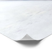 Tortoise Poster (Hoek)