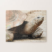 Tortoise Puzzle Legpuzzel (Horizontaal)