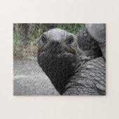 Tortoise Puzzle Legpuzzel (Horizontaal)