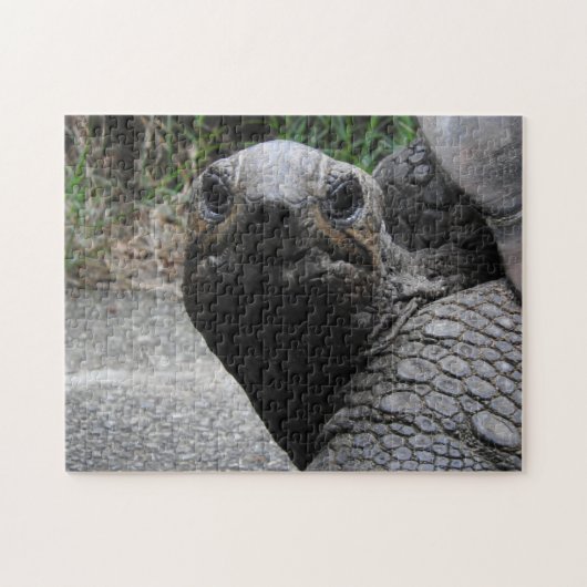 Tortoise Puzzle Legpuzzel (Horizontaal)