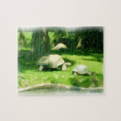 Tortoise Race Legpuzzel (Horizontaal)