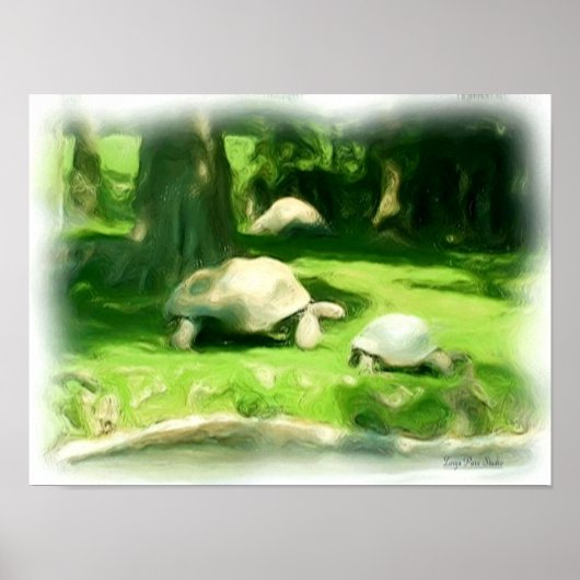 Tortoise Race Poster (Voorkant)