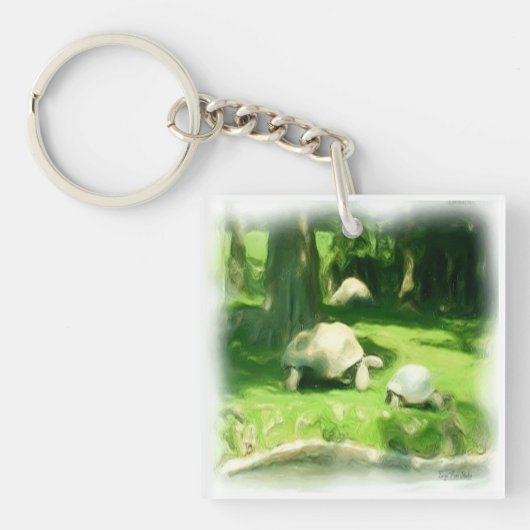 Tortoise Race Sleutelhanger (Voorkant)