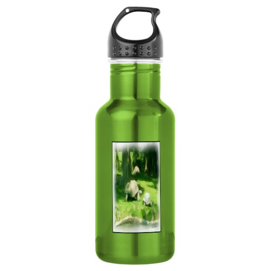 Tortoise Race Waterfles (Voorkant)