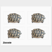 Tortoise Rechthoekige Sticker (Vel)