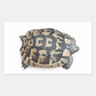 Tortoise Rechthoekige Sticker