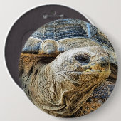 TORTOISE RONDE BUTTON 6,0 CM (Voorkant /achterkant)