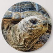 TORTOISE RONDE BUTTON 6,0 CM (Voorkant)