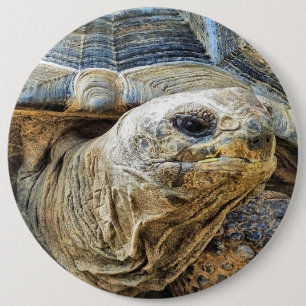 TORTOISE RONDE BUTTON 6,0 CM