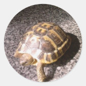 Tortoise Ronde Sticker (Voorkant)