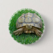 Tortoise Round Button (Voorkant)