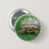 Tortoise Round Button (Voorkant /achterkant)