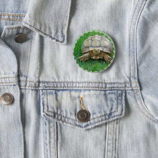 Tortoise Round Button (In situ)