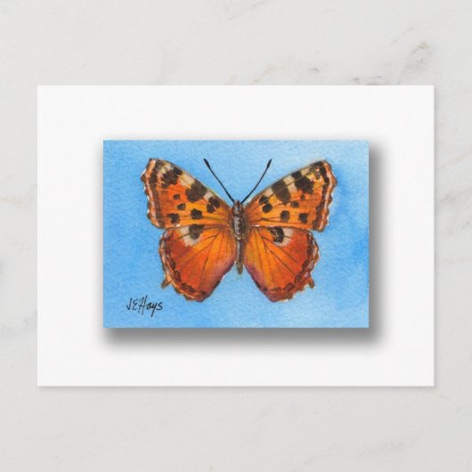 Tortoise Shell Butterfly Briefkaart (Voorkant)