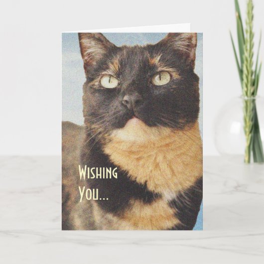 Tortoise Shell Cat Birthday Card Kaart (Voorkant)