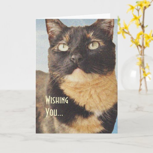 Tortoise Shell Cat Birthday Card Kaart (Gele Bloem)