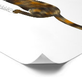 Tortoise Shell Cat Hanging On Funny Tortie Cat  Poster (Hoek)