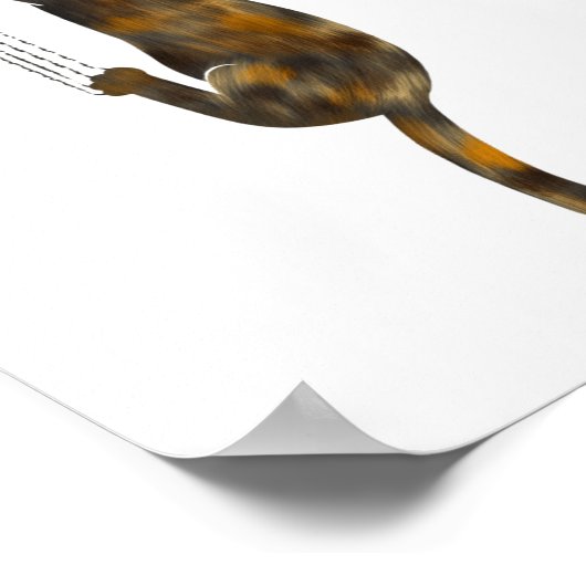 Tortoise Shell Cat Hanging On Funny Tortie Cat  Poster (Hoek)