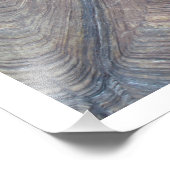 Tortoise Shell Foto van Linda Becker Foto Afdruk (Hoek)