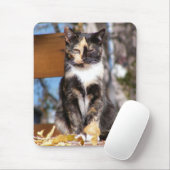 Tortoise Shell Kitten 1 Muismat (Met muis)