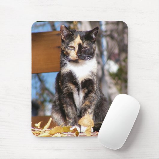 Tortoise Shell Kitten 1 Muismat (Met muis)