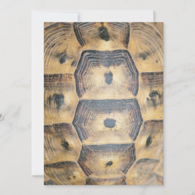 Tortoise Shell Pattern (Voorkant)