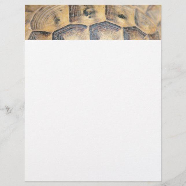 Tortoise Shell Pattern (Voorkant)
