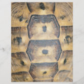 Tortoise Shell Pattern Flyer (Voorkant)