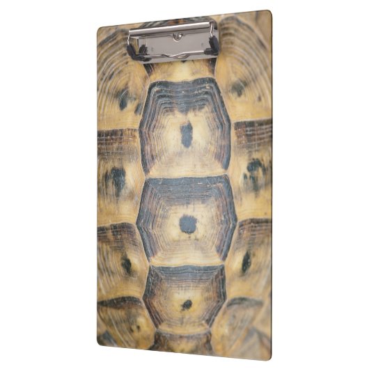 Tortoise Shell Pattern Klembord (Links)