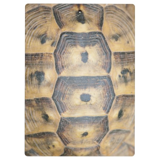Tortoise Shell Pattern Klembord (Achterkant)