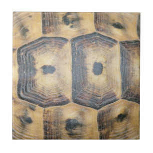 Tortoise Shell Pattern Tegeltje