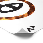 Tortoise Shell Poster (Hoek)