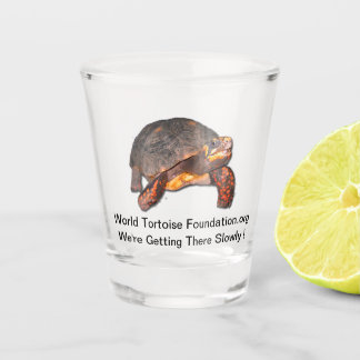 Tortoise Shot Glass Shot Glas