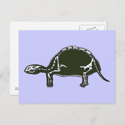 tortoise skelet briefkaart (Voorkant / Achterkant)