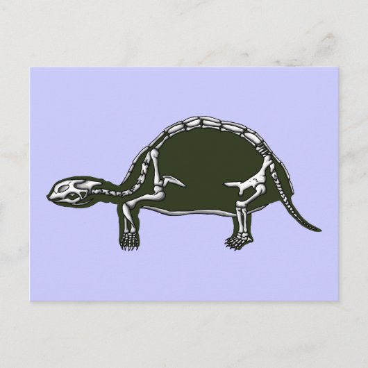 tortoise skelet briefkaart (Voorkant)