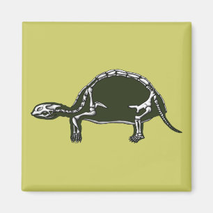 tortoise skelet magneet