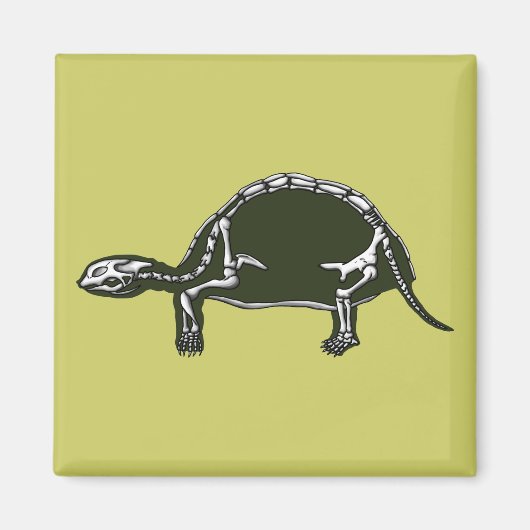 tortoise skelet magneet (Voorkant)