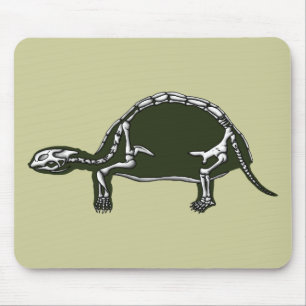 tortoise skelet muismat
