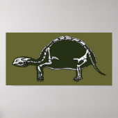 tortoise skelet poster (Voorkant)