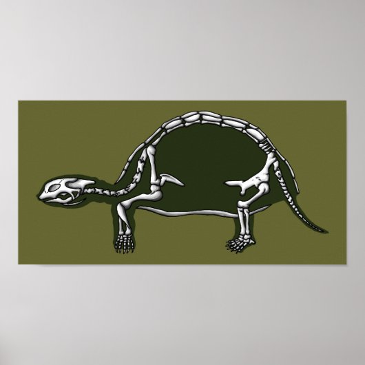 tortoise skelet poster (Voorkant)