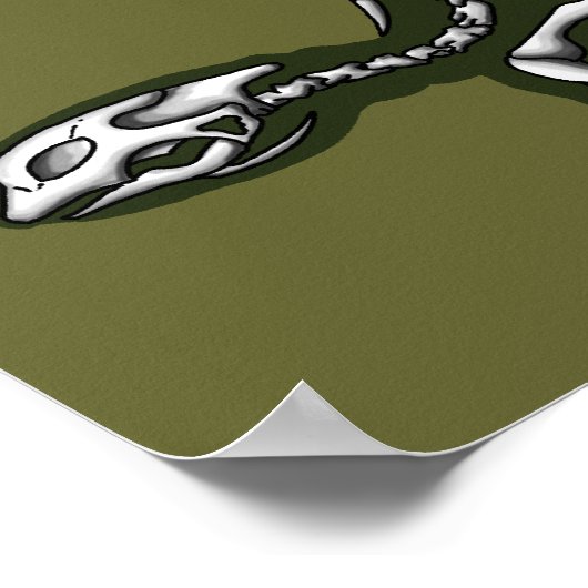 tortoise skelet poster (Hoek)