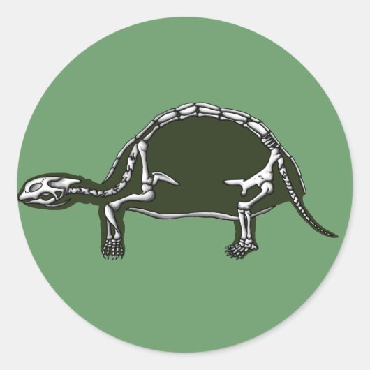 tortoise skelet ronde sticker (Voorkant)