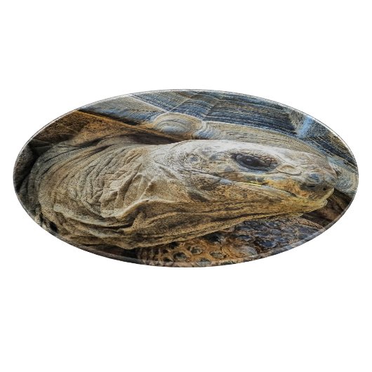 TORTOISE SNIJPLANK (Hoek)