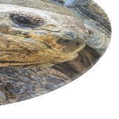 TORTOISE SNIJPLANK (Hoek)