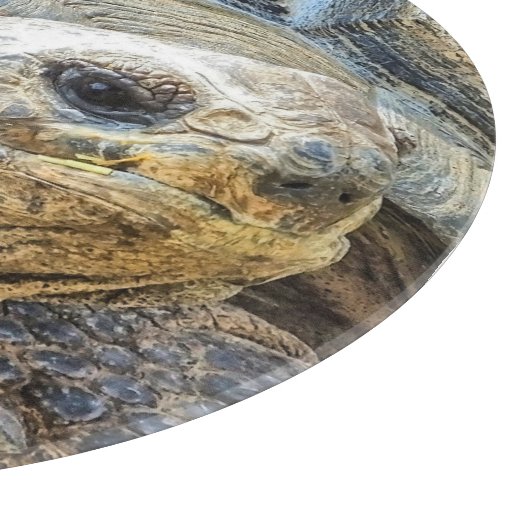 TORTOISE SNIJPLANK (Hoek)