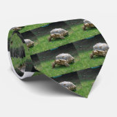 Tortoise Stropdas (Opgerold)