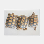 Tortoise Trio doormat Deurmat (Voorkant)